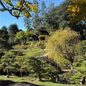 Meet your Posher, Yuviza